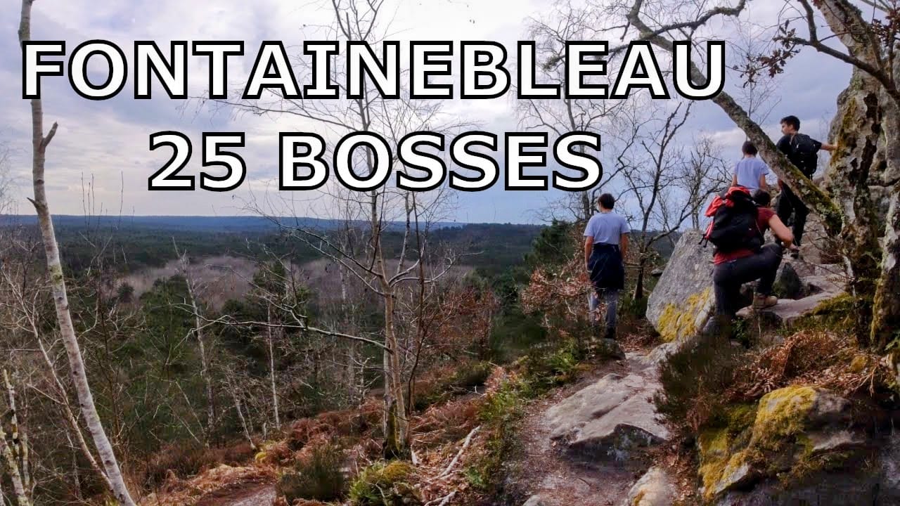 Le circuit des 25 bosses: un incontournable de Fontainebleau